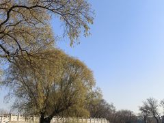 -北陵公园