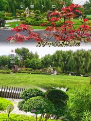 点击看大图 -宝馨月月子中心(友谊医院店)