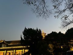 -杭州西子湖四季酒店-WL BISTRO西湖餐厅(灵隐路店)