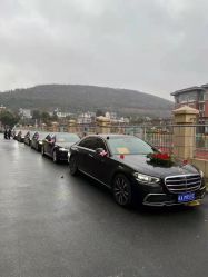 -蚂蚁婚车