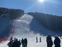 -多乐美地滑雪场