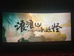 -CGV影城(壹方城IMAX店)
