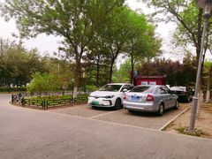 -大兴滨河森林公园