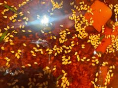 -悦百味·品质川菜(橄榄郡店)