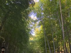 -穹窿山景区