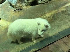 -洛阳龙门海洋馆