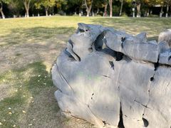 -明故宫遗址公园