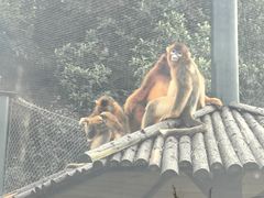 -宁波野生动物园