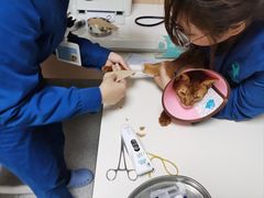 -谐和贝康宠物医院24小时·宠保定点(急重症转诊中心)