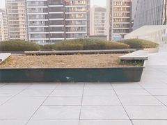 -凤凰湘语(浦东旗舰店)