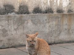 -董府·古宅餐厅