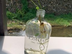 -Local泰莲庭(虹鳟鱼店)