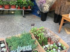 -花草间花行(法华镇路店)