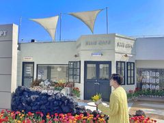 -Blue Concept Cafe&Farm·關於藍