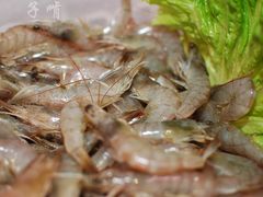 -33韩式自助烧烤(环城南路店)
