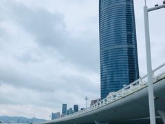 -演武大桥观景平台