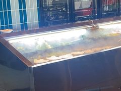 -丰茂烤串(公园店)