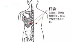 -金都微美·精准护肤·疗愈SPA