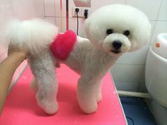 -喵宠乐园·撸猫互动·猫舍