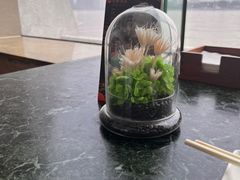 -白天鹅宾馆·流浮阁咖啡厅