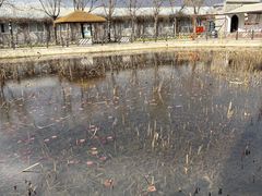 -河北村民俗体验园