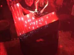 -野猫娱乐空间·酒吧·KTV(南屏店)