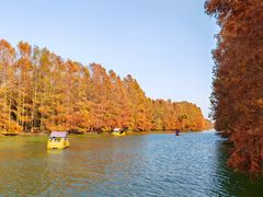 -上海海湾国家森林公园