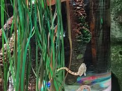 -沈阳海洋探索中心