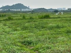 -光明小镇欢乐田园