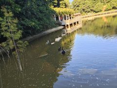 -广州市帽峰山景区