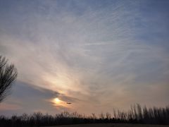 -东郊湿地公园