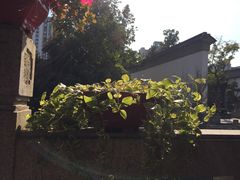 -吴越荣记苏州菜·松鼠桂鱼100%活鱼现做(斜塘老街店)