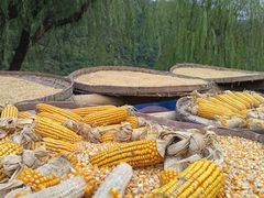 -新安江山水画廊风景区