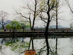 -婺源风景区