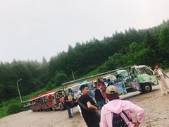-哈尔滨北方森林动物园