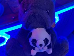 -奇奇乐园(上海仲盛世界商城店)