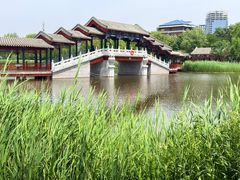 -西海子公园