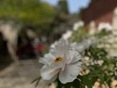 -红螺寺