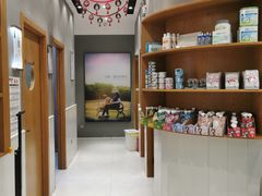 -关爱宠物医院·猫科中心·消化科(滨湖万达分院)