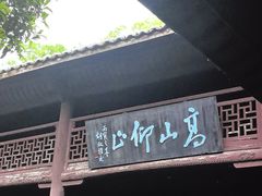 -八大山人梅湖景区