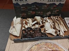 -芸山季·云南野生菌火锅(宝能环球汇店)