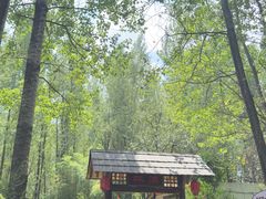 -林间山庄