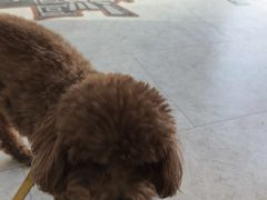 -纳吉亚猫专科动物医院·北北分院