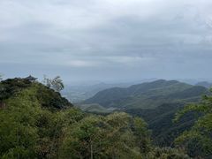 -莫干山风景区