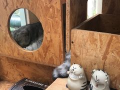 -拾壹cafe·工作室