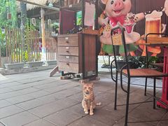 -Naughty Nuri’s Phuket