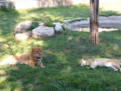 -西安秦岭野生动物园