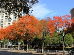 -南浦大桥长途旅游客运站