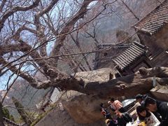 -青岛崂山太清宫