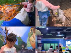 -顺德南宏海立方海洋公园
